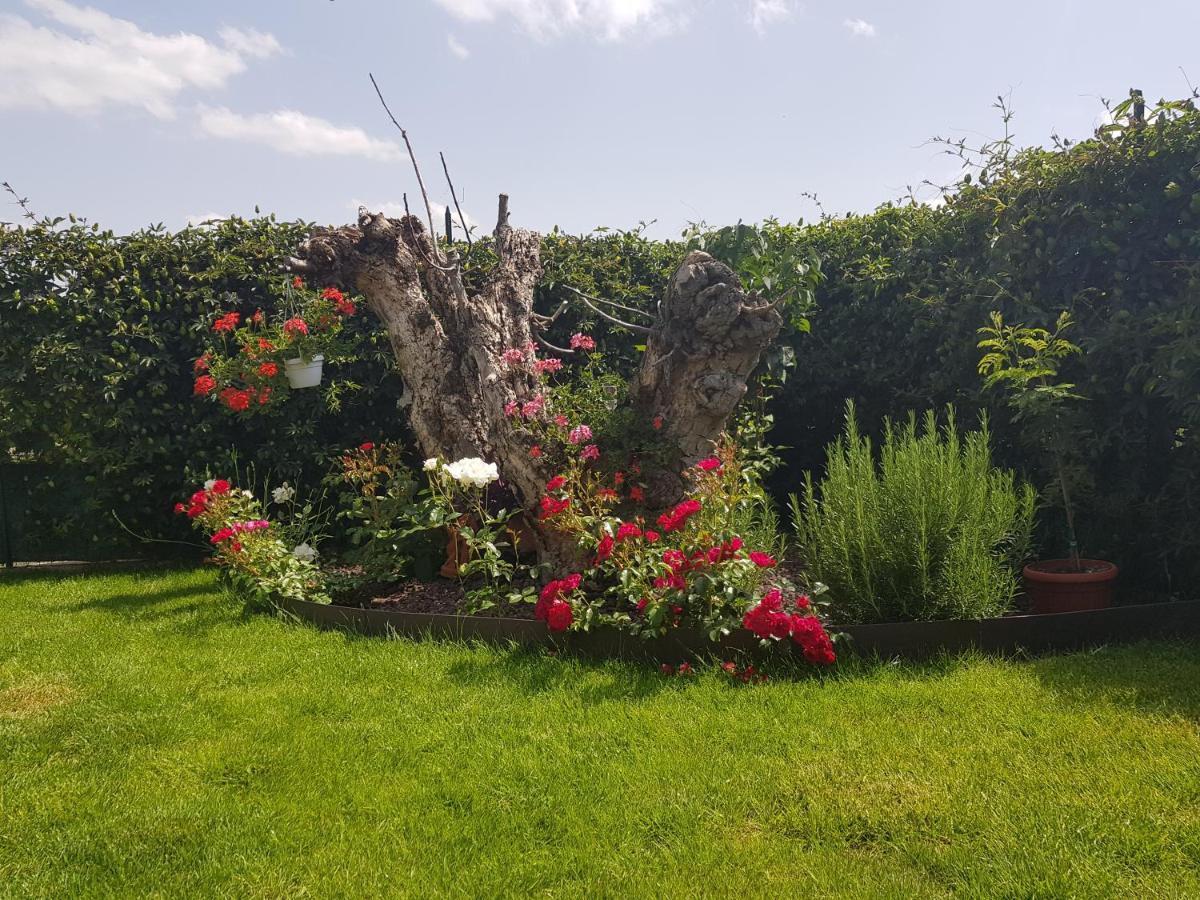 Vicus House Holiday home Viciomaggio